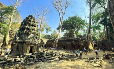 Ta prohm